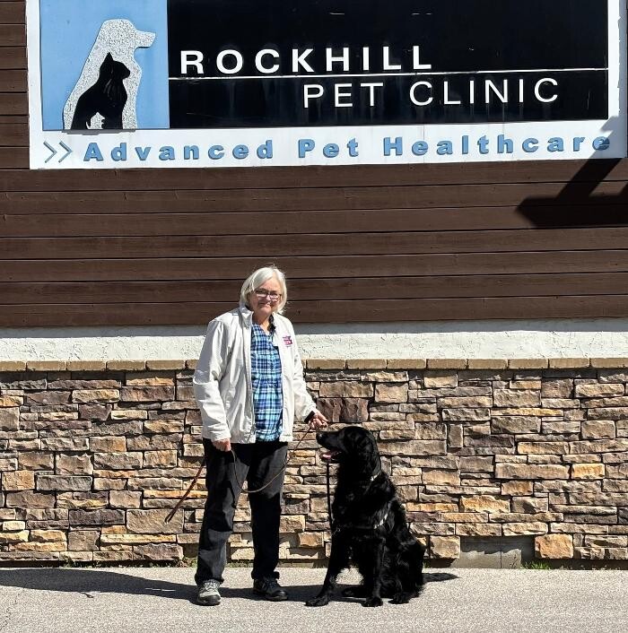 Images Rockhill Pet Clinic