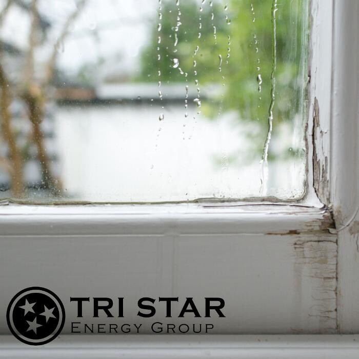 Images SERVPRO of East Central Cincinnati