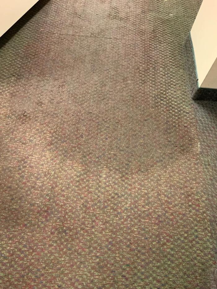 Images SERVPRO of East Central Cincinnati