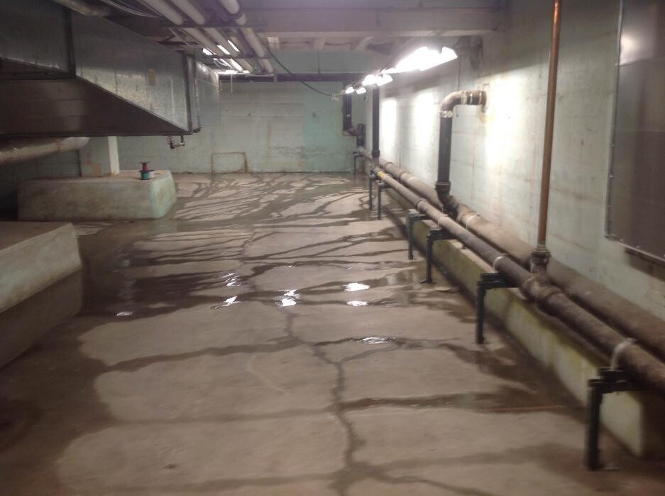 Images SERVPRO of East Central Cincinnati