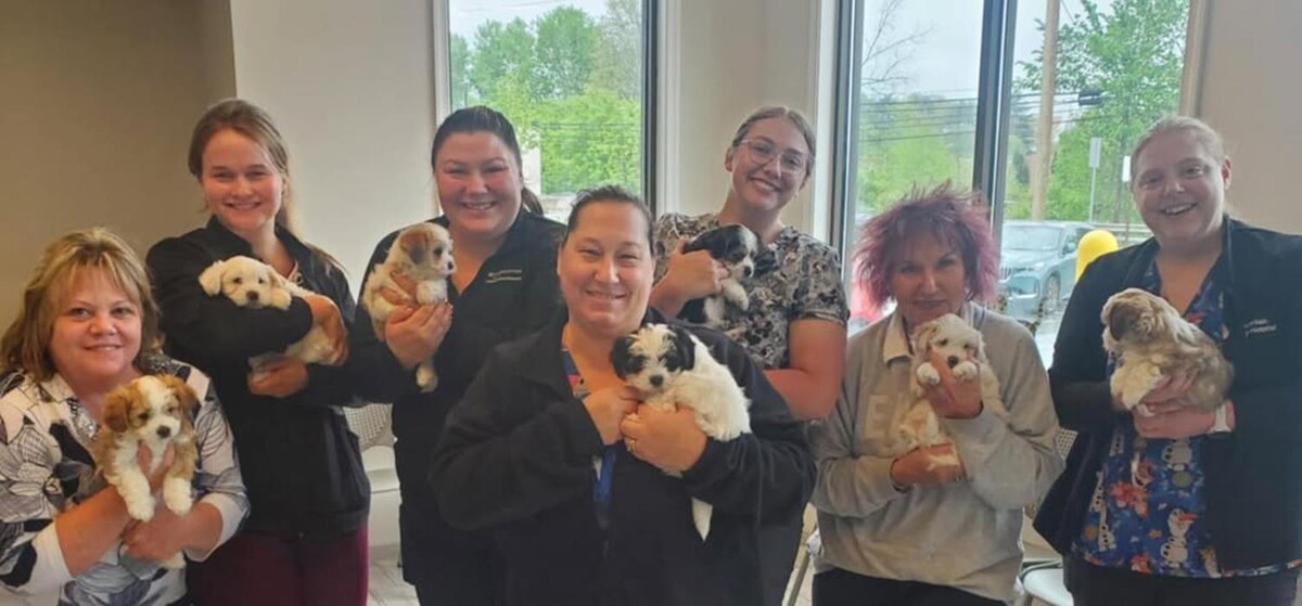 Images Back Mountain Veterinary Hospital