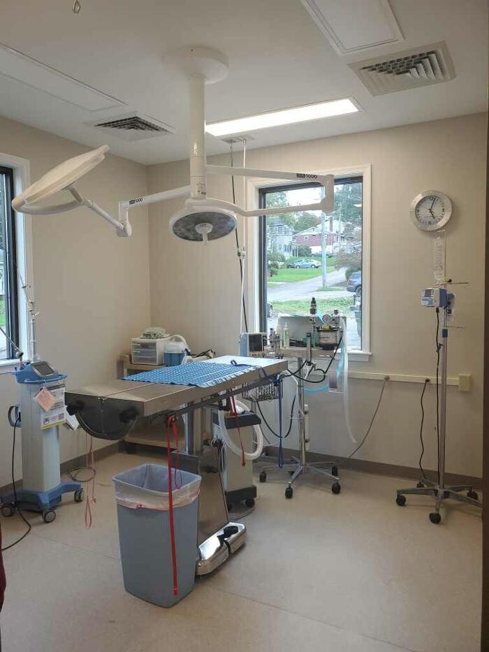 Images Back Mountain Veterinary Hospital