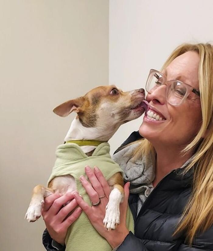 Images Back Mountain Veterinary Hospital