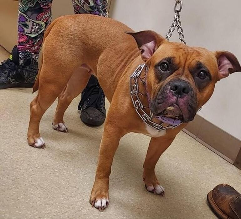 Images Back Mountain Veterinary Hospital