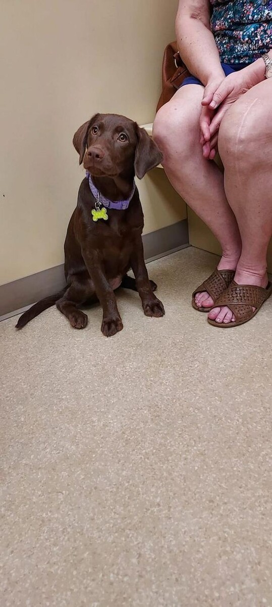 Images Back Mountain Veterinary Hospital