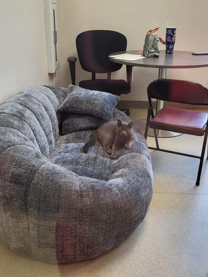 Images Back Mountain Veterinary Hospital