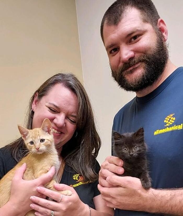 Images Back Mountain Veterinary Hospital
