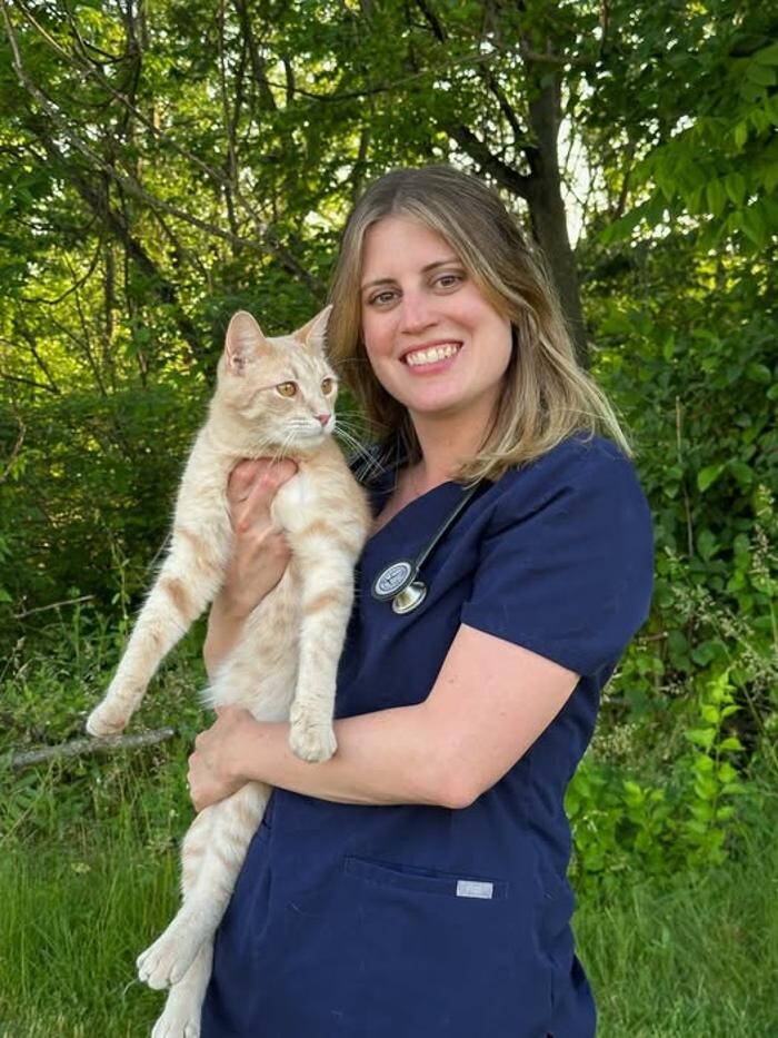 Images Back Mountain Veterinary Hospital