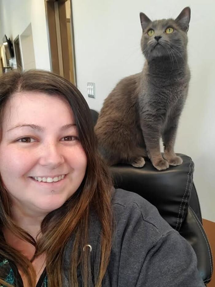 Images Back Mountain Veterinary Hospital