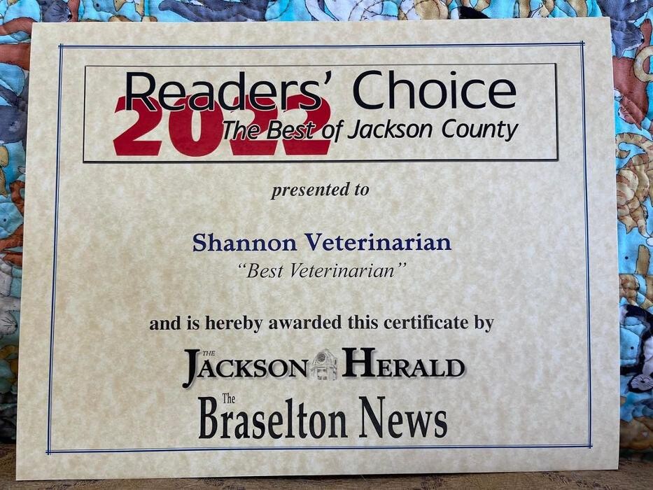Images Shannon Veterinary Services