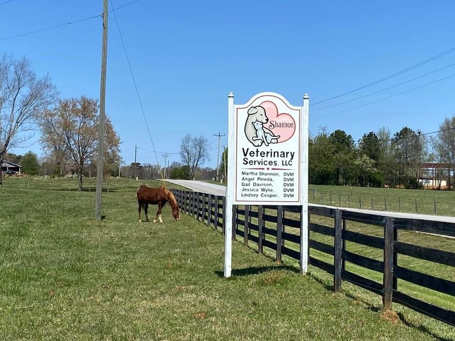 Images Shannon Veterinary Services