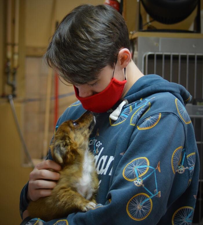 Images Shannon Veterinary Services