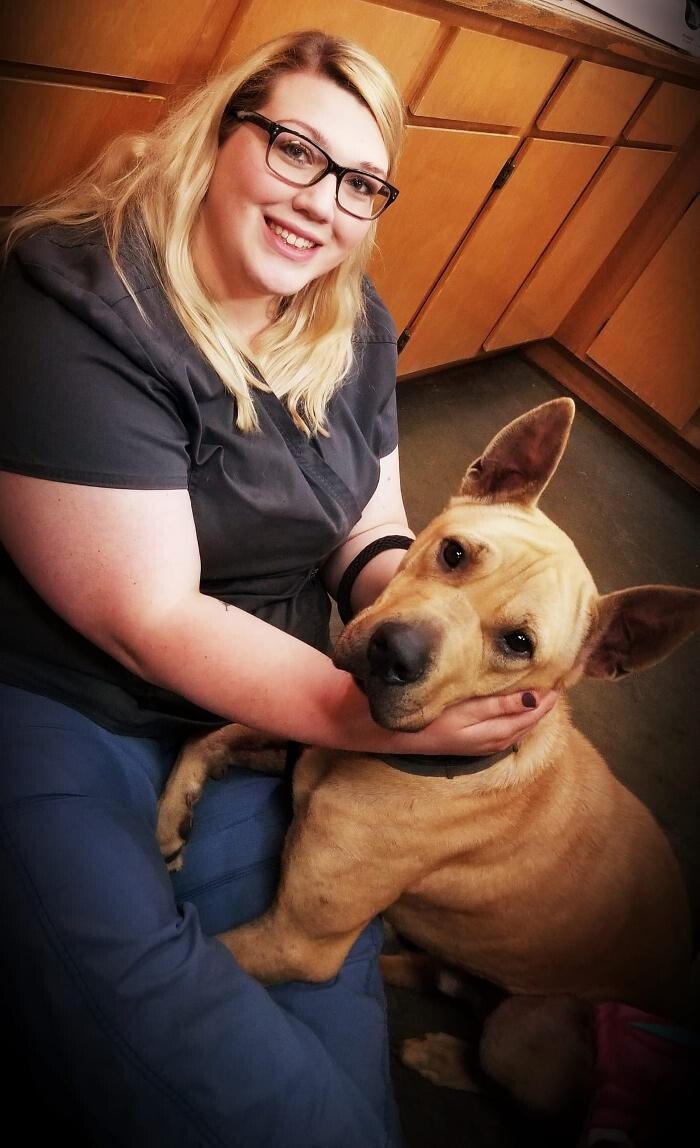Images Shannon Veterinary Services