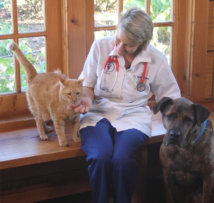 Images Shannon Veterinary Services