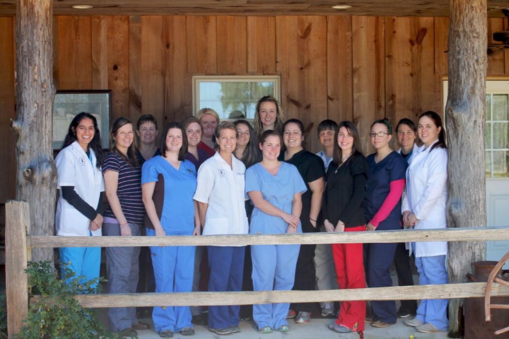 Images Shannon Veterinary Services