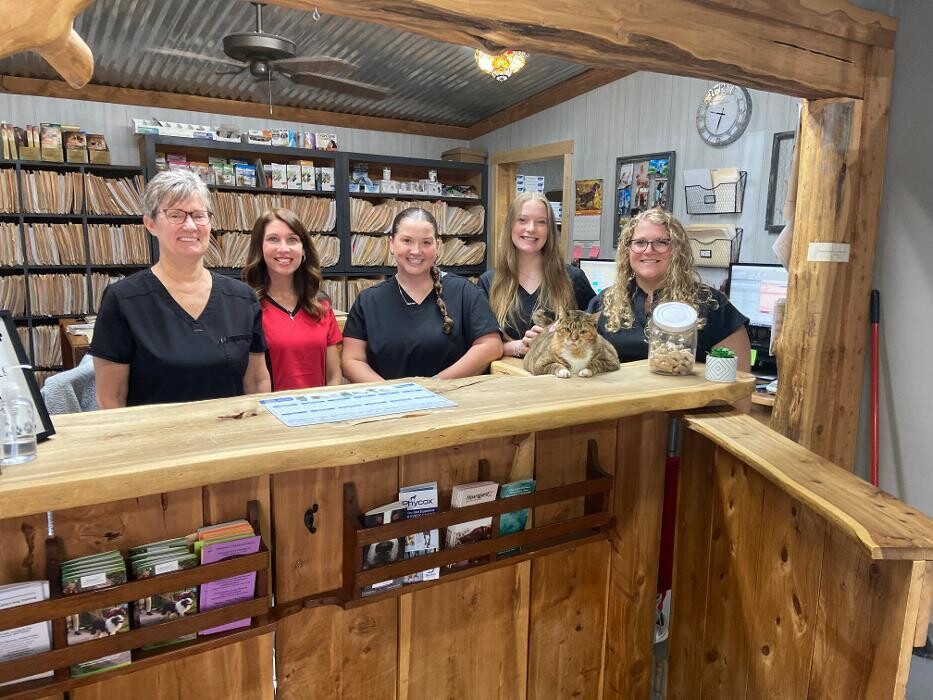 Images Shannon Veterinary Services