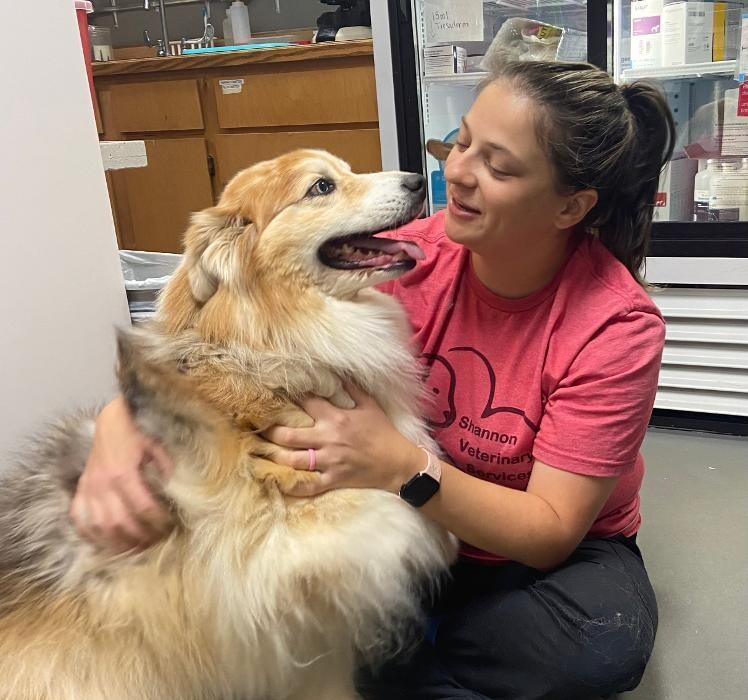 Images Shannon Veterinary Services