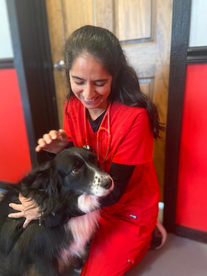 Images Shannon Veterinary Services