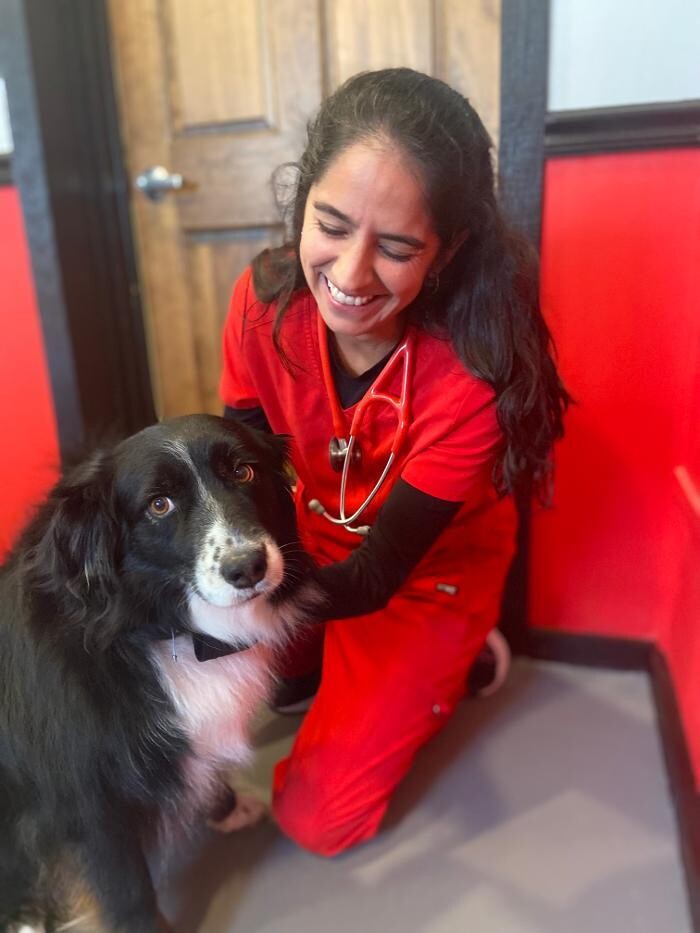 Images Shannon Veterinary Services