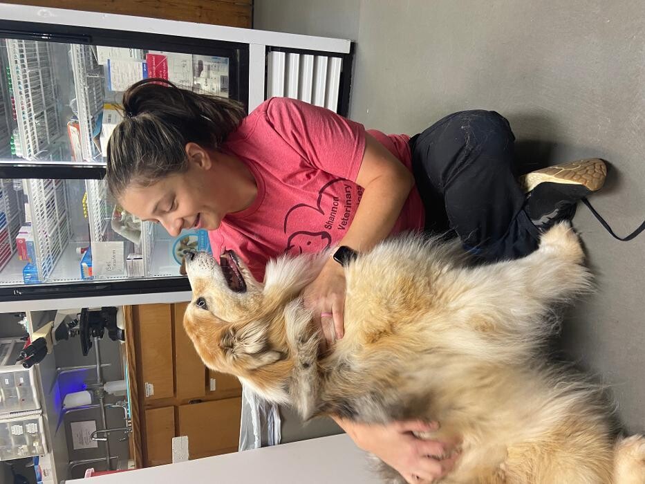 Images Shannon Veterinary Services