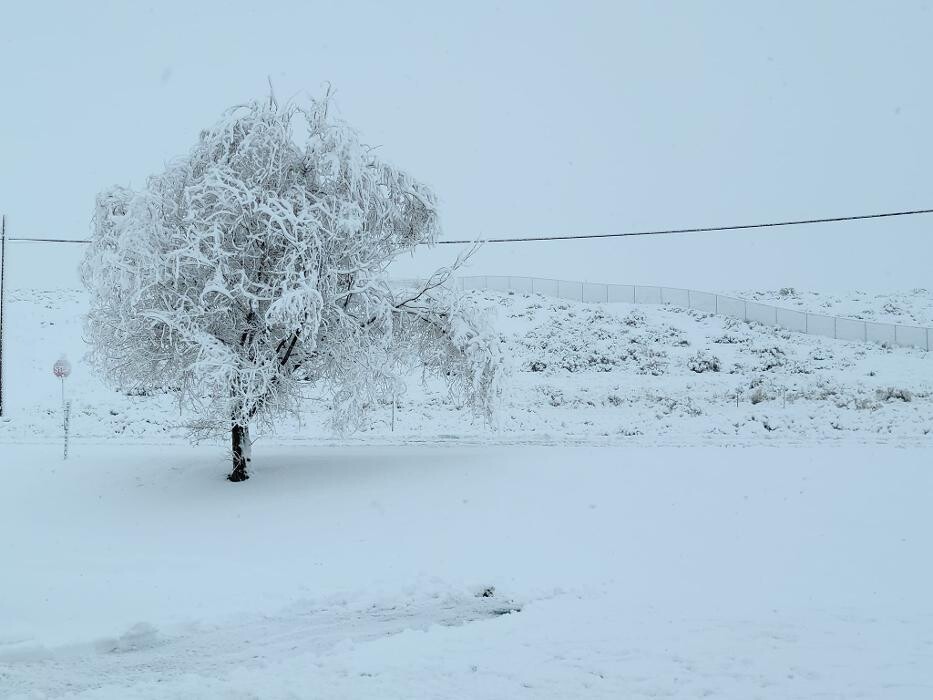 Images Stor-All Winnemucca