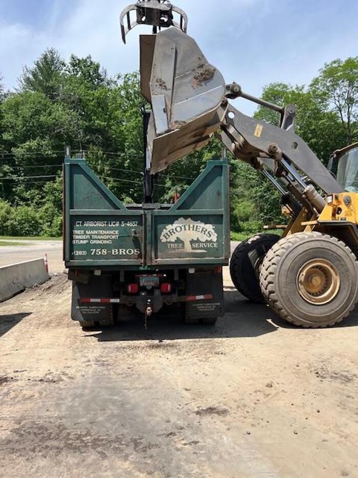 Images Brothers' Tree Service LLC