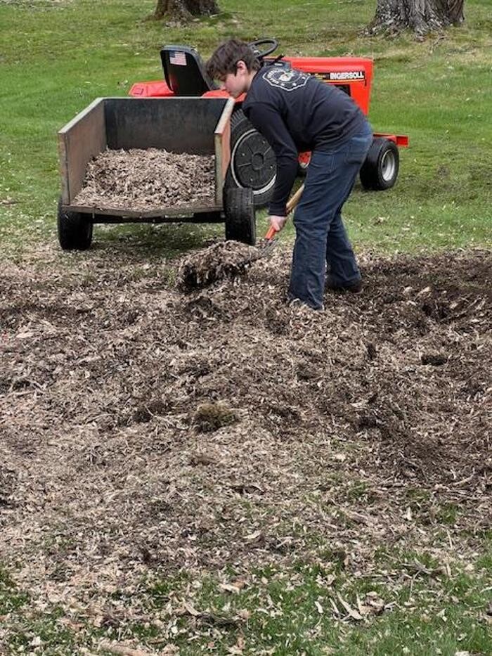 Images Brothers' Tree Service LLC