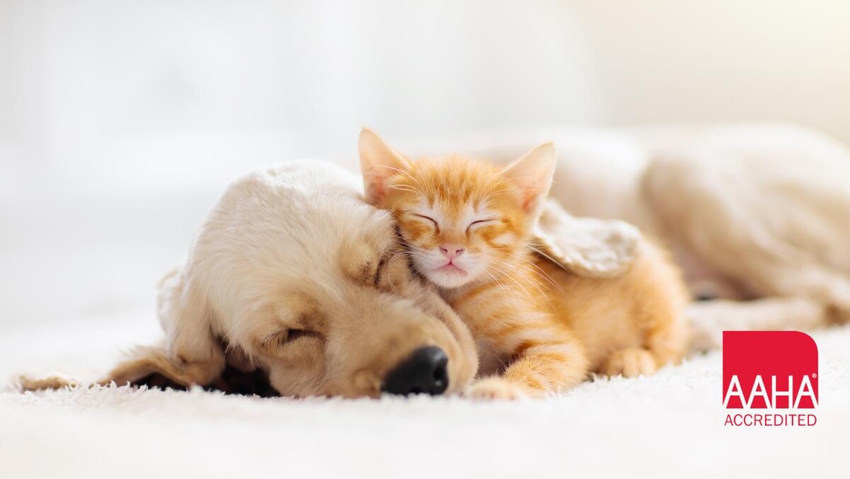 Images Escanaba Veterinary Clinic