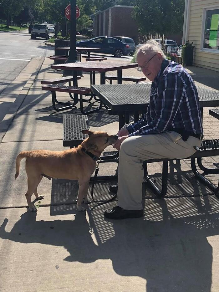 Images Cool Creations Homemade Ice Cream