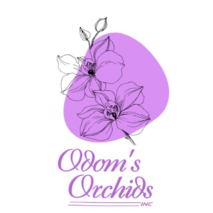 Images Odom's Orchids Inc