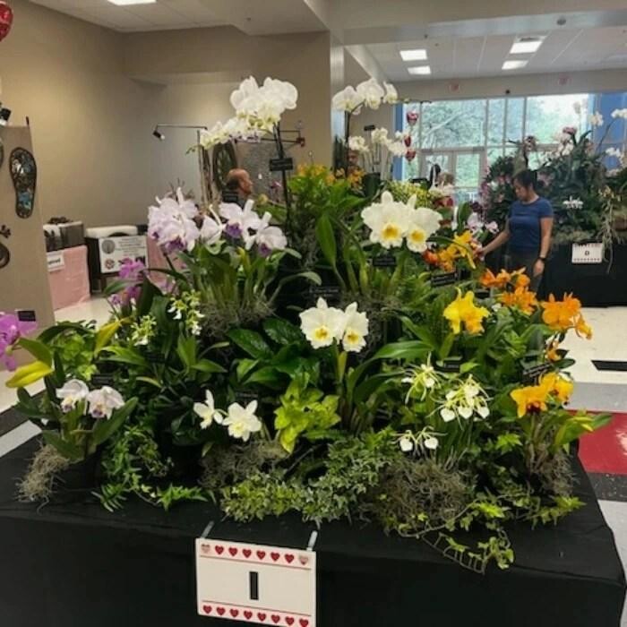 Images Odom's Orchids Inc