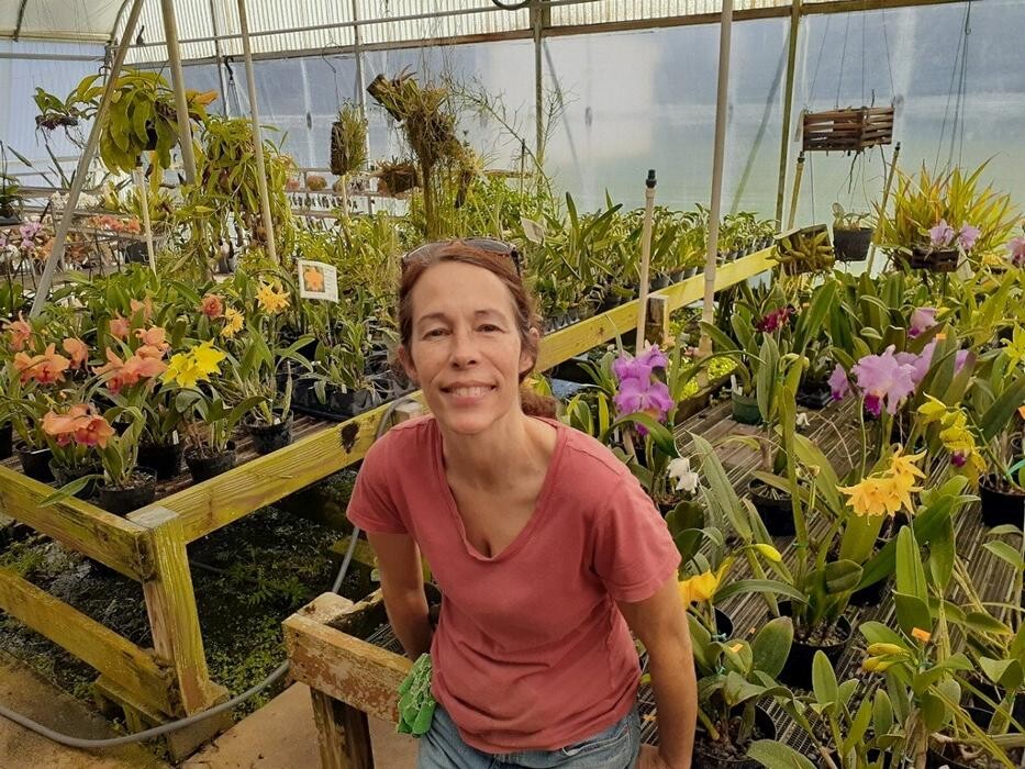 Images Odom's Orchids Inc
