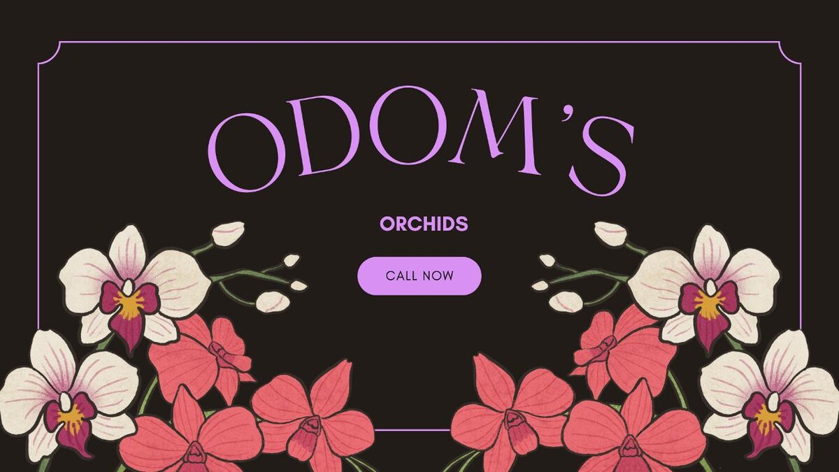 Images Odom's Orchids Inc