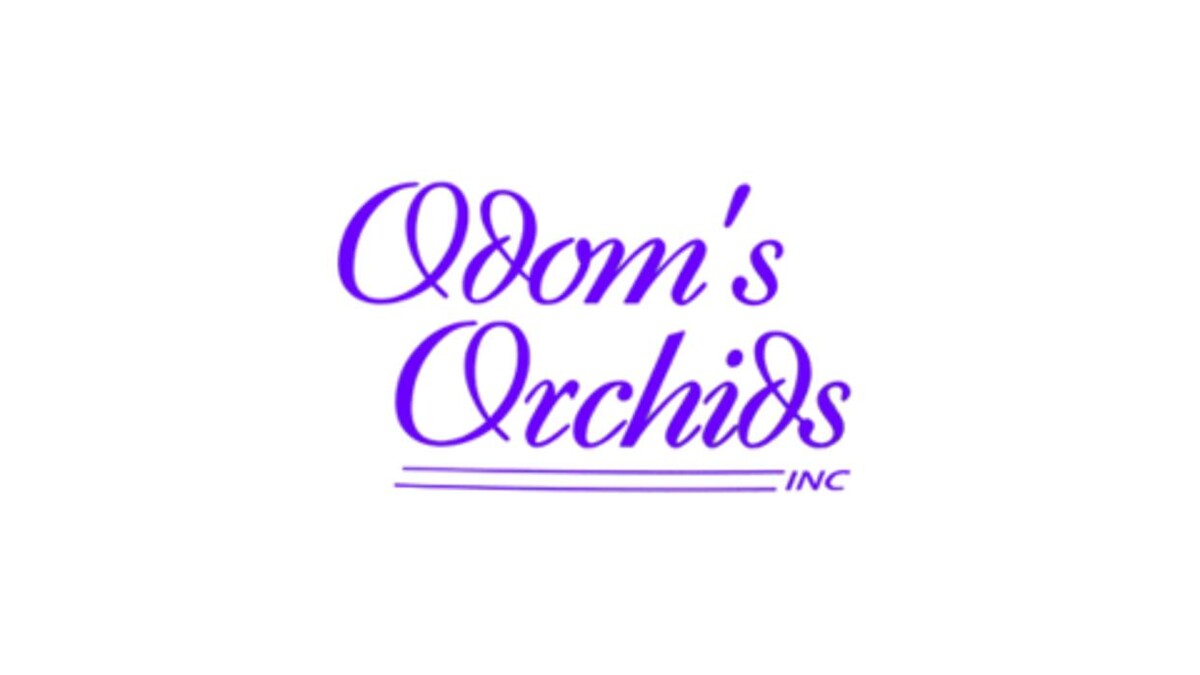 Images Odom's Orchids Inc