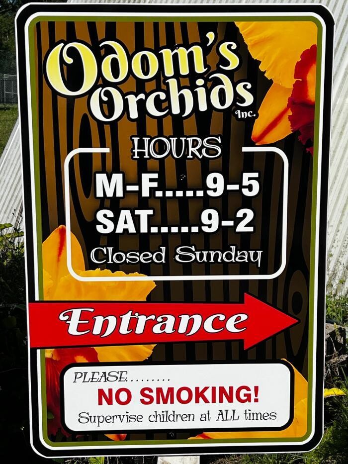 Images Odom's Orchids Inc