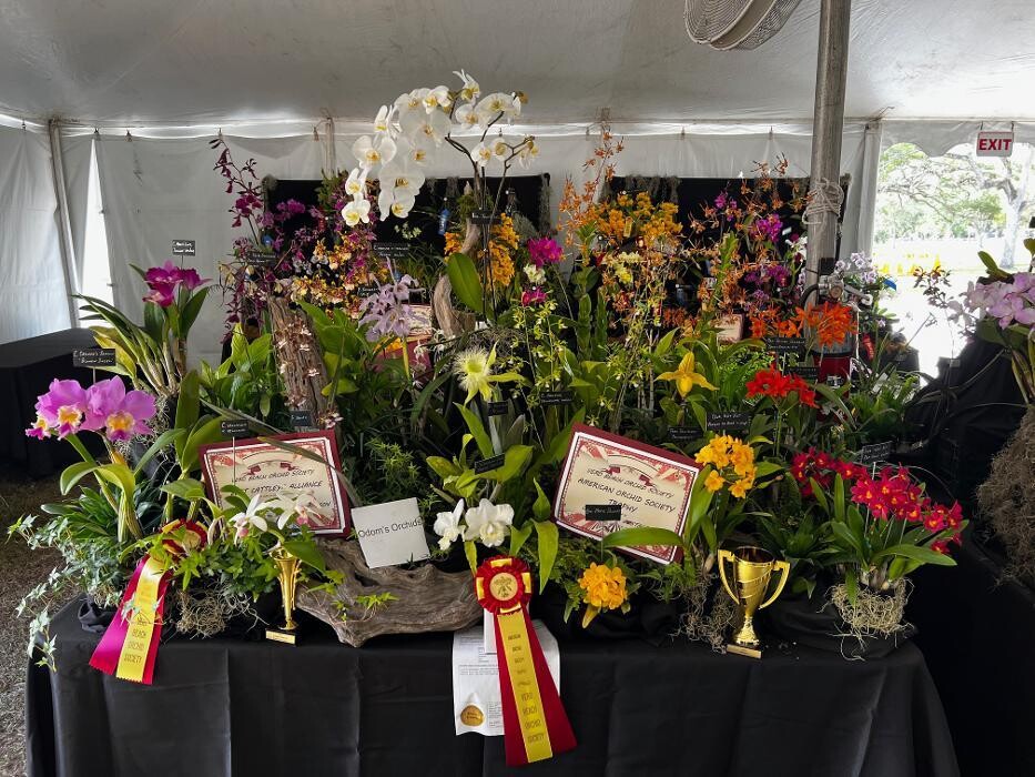 Images Odom's Orchids Inc