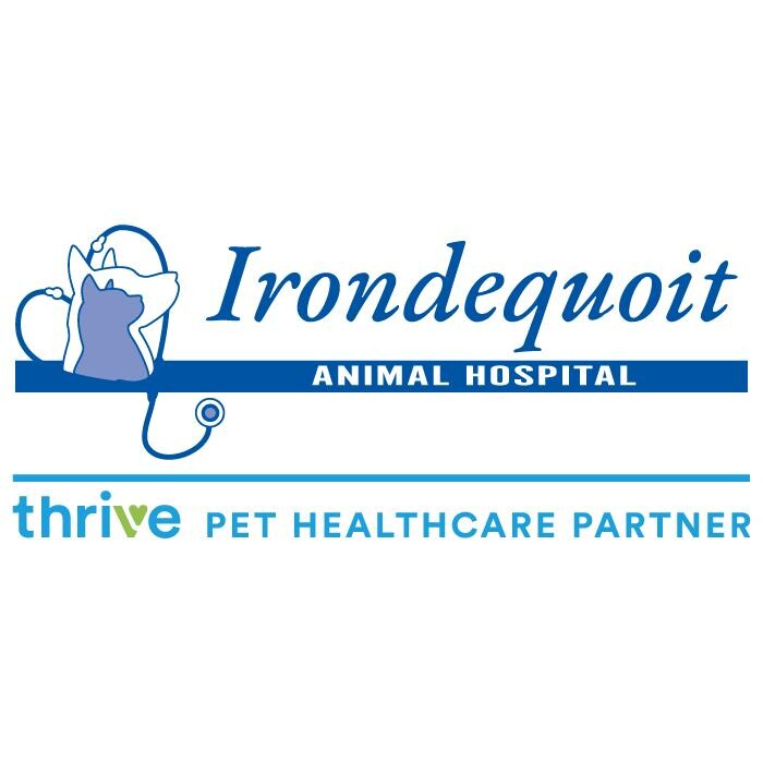 Irondequoit Animal Hospital Logo