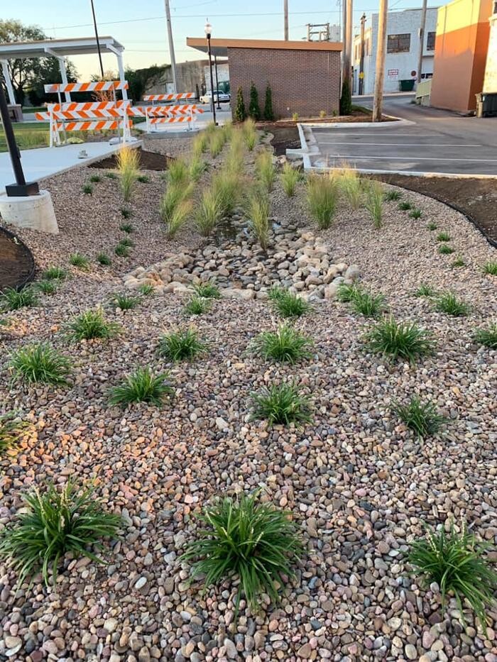 Images Bones Rock Yard