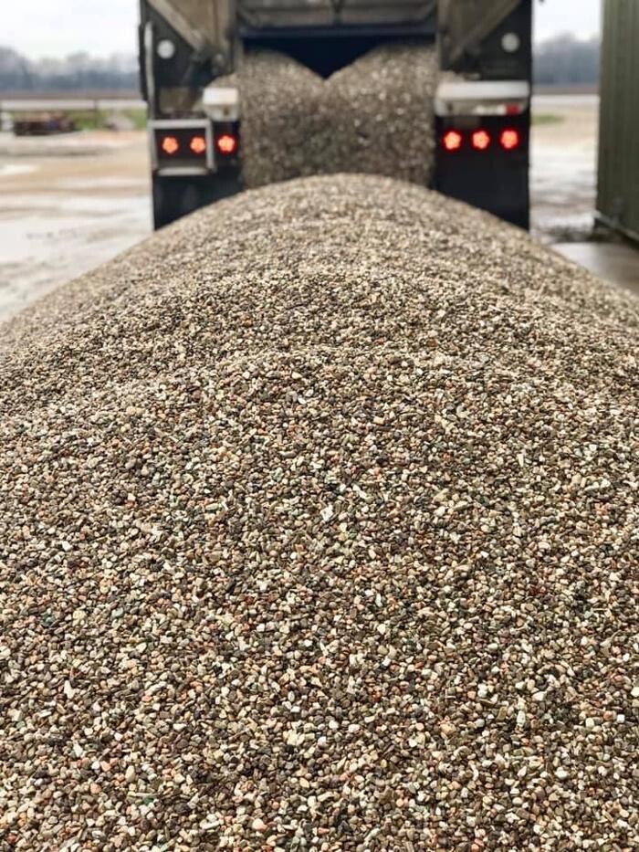 Images Bones Rock Yard