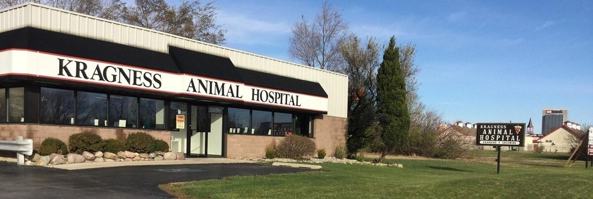 Images Kragness Animal Hospital