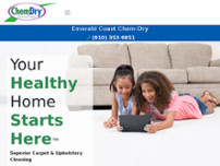 Screenshot for https://emeraldcoastchem-dry.com/