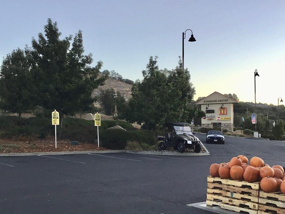 Images Tractor Supply Co.