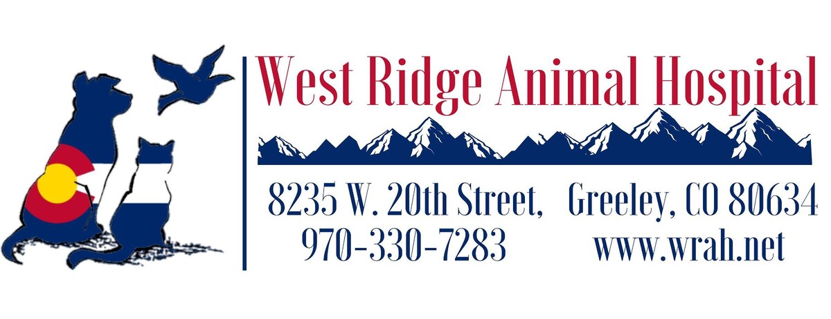 Images West Ridge Animal Hospital
