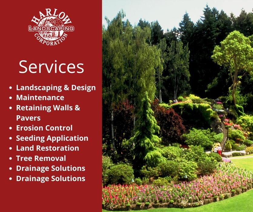 Images Harlow Enterprises Inc