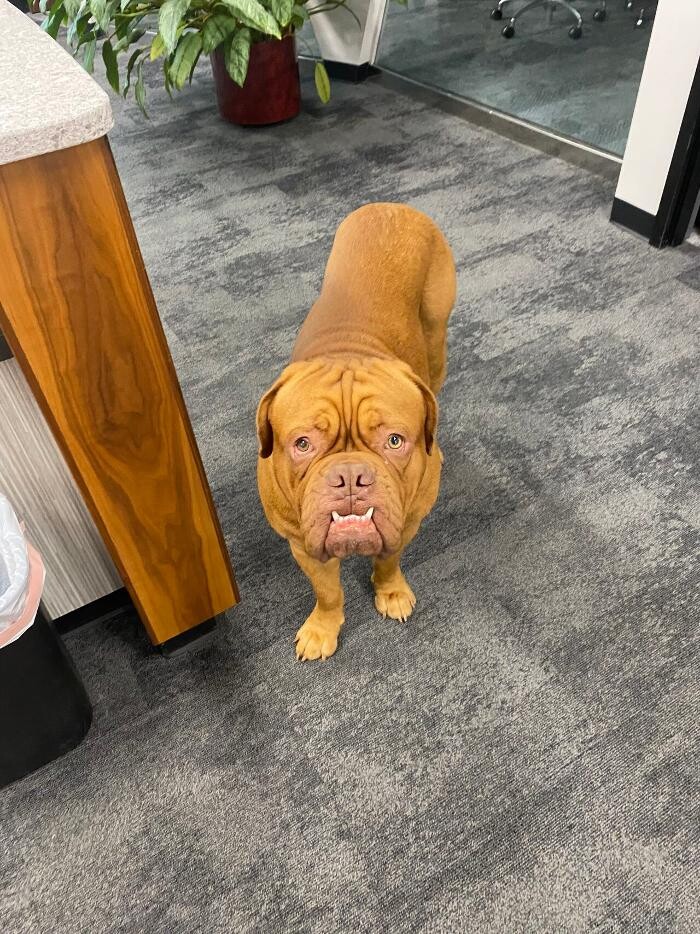 Images Mid-America Contractors, Inc.