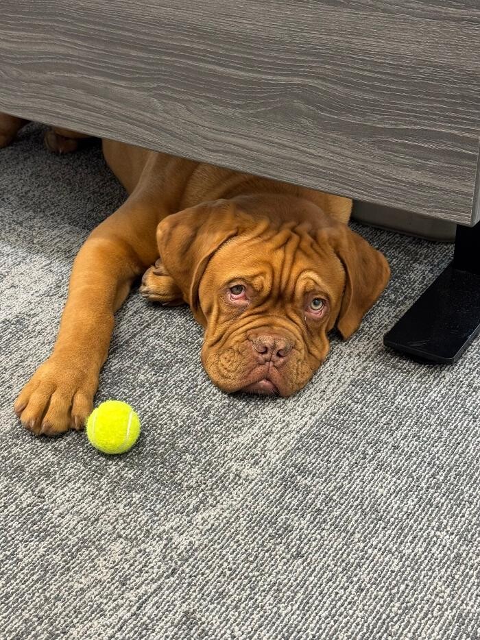 Images Mid-America Contractors, Inc.