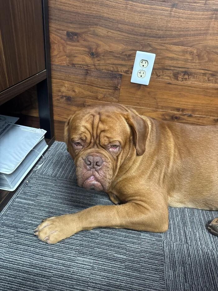 Images Mid-America Contractors, Inc.