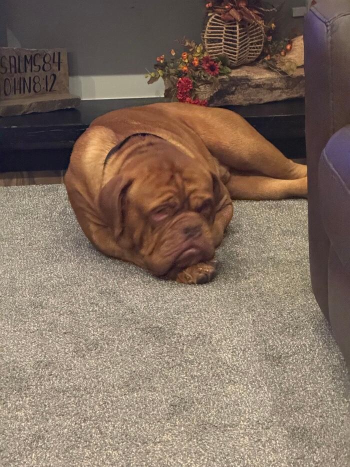 Images Mid-America Contractors, Inc.