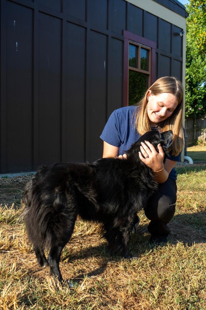 Images Wellspring Animal Hospital