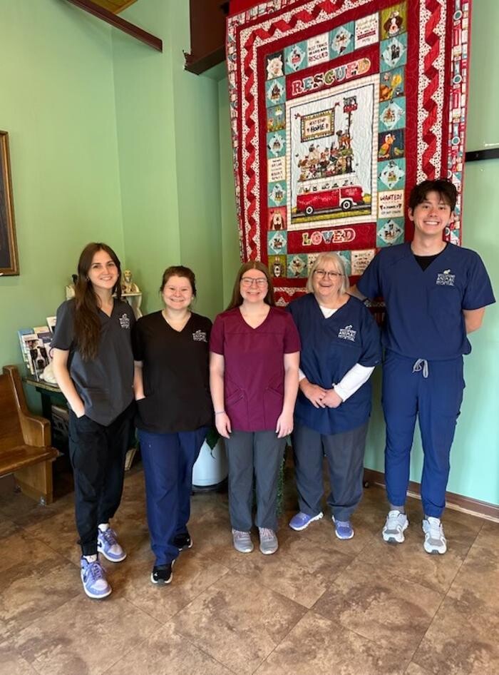 Images Wellspring Animal Hospital